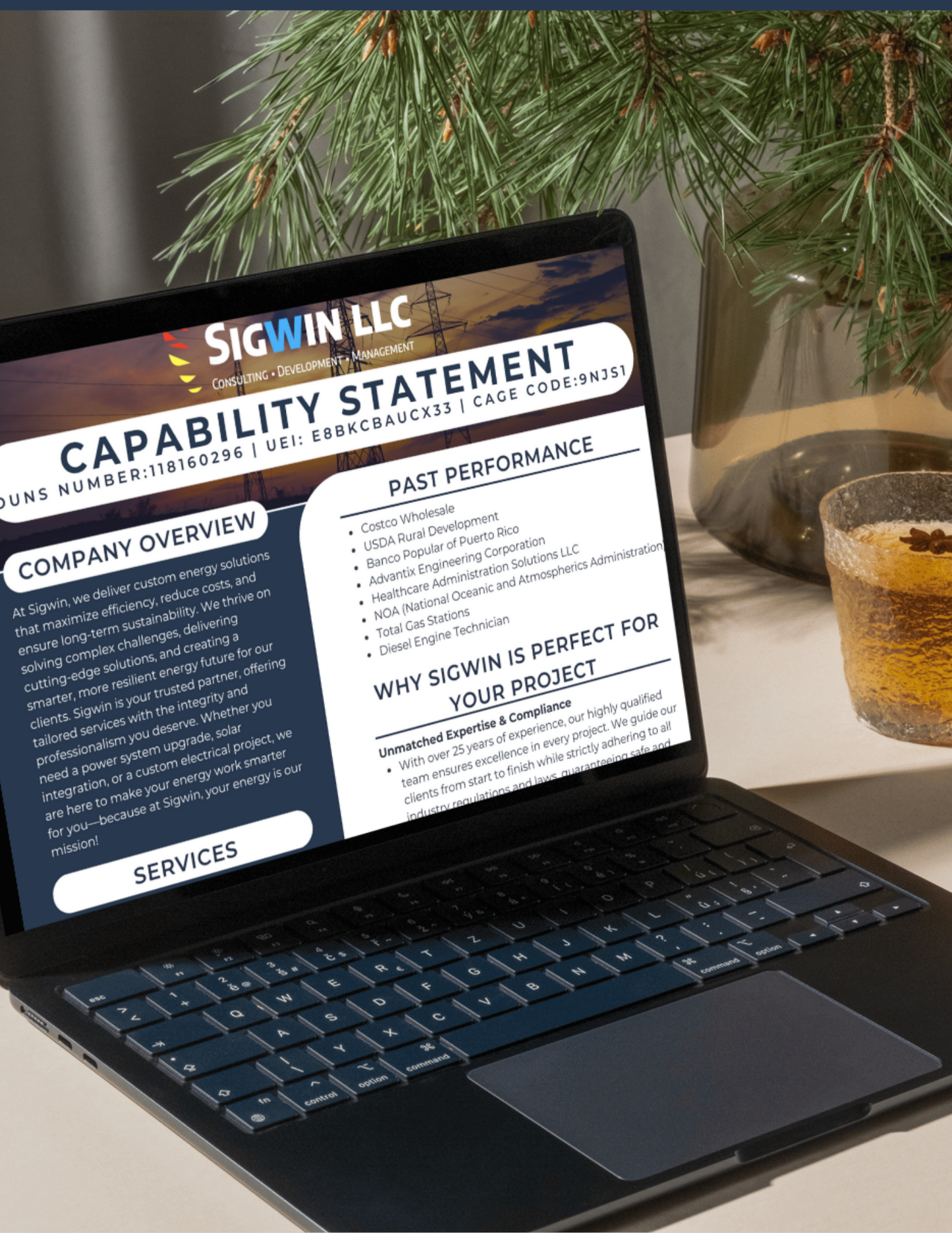 Capability Statement